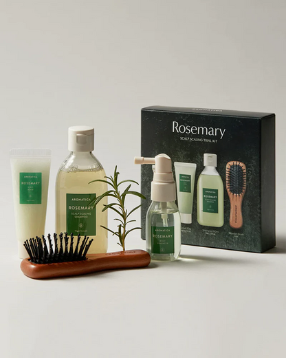 AROMATICA Rosemary Scalp Trial Kit rinkinys plaukams