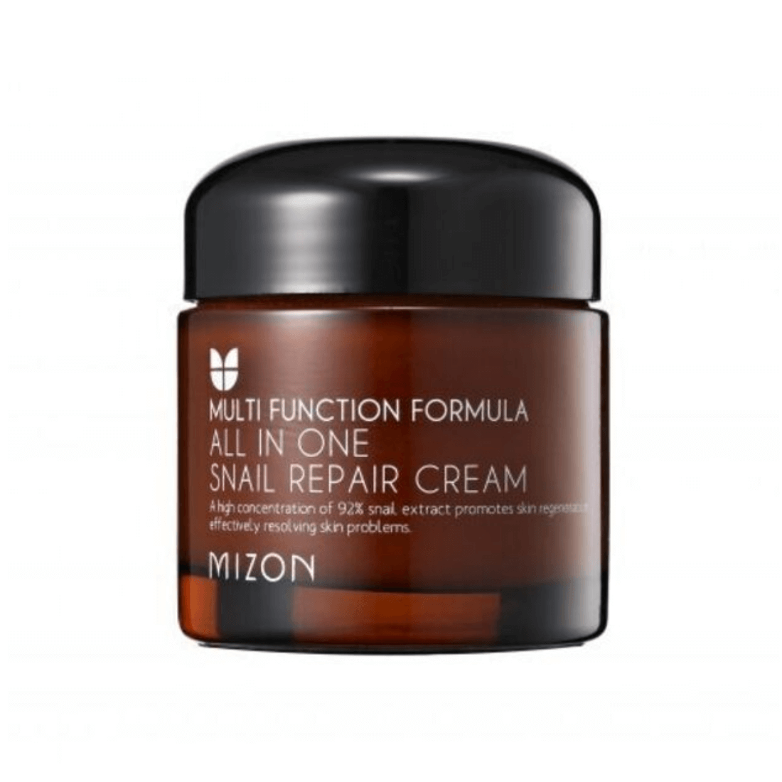 Mizon veido kremas All In One Snail Repair Cream 75ml